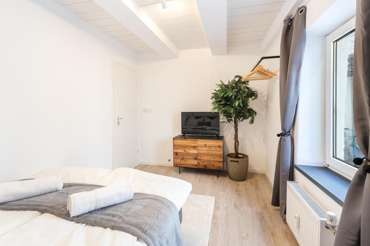 Terrace Apartment With 5 Rooms, Whirlpool And Bbq Augsburg Dış mekan fotoğraf